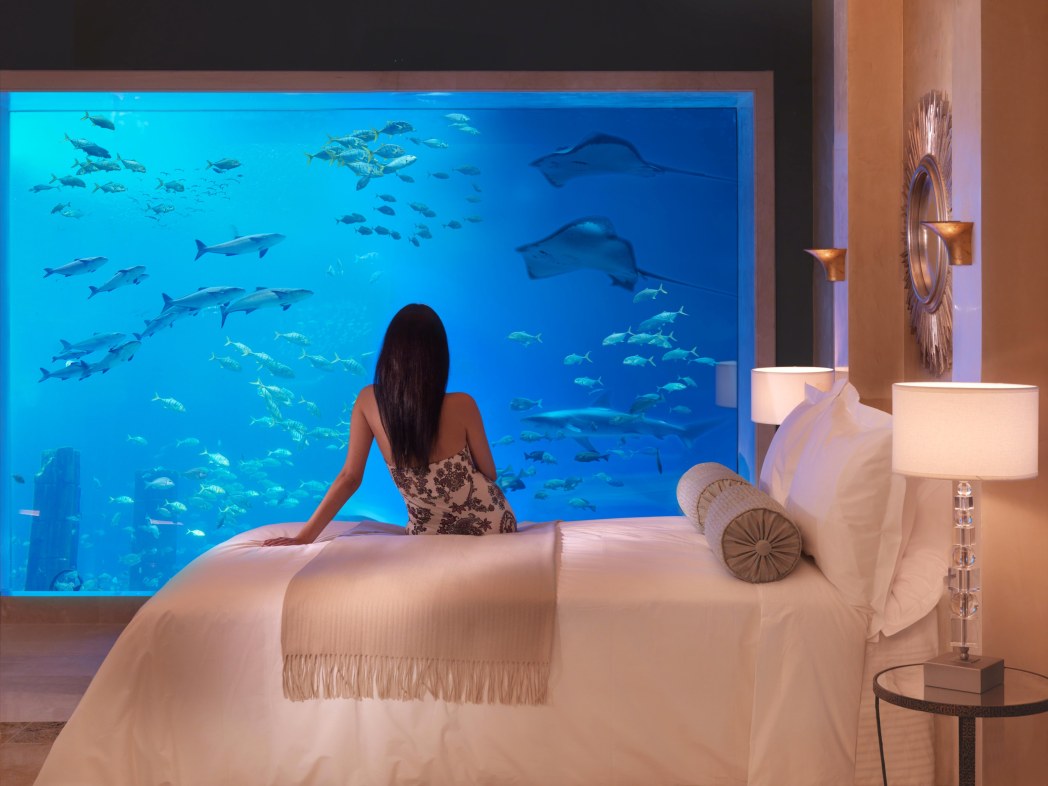 Sleeping With The Fishes The World S Best Underwater Hotels
