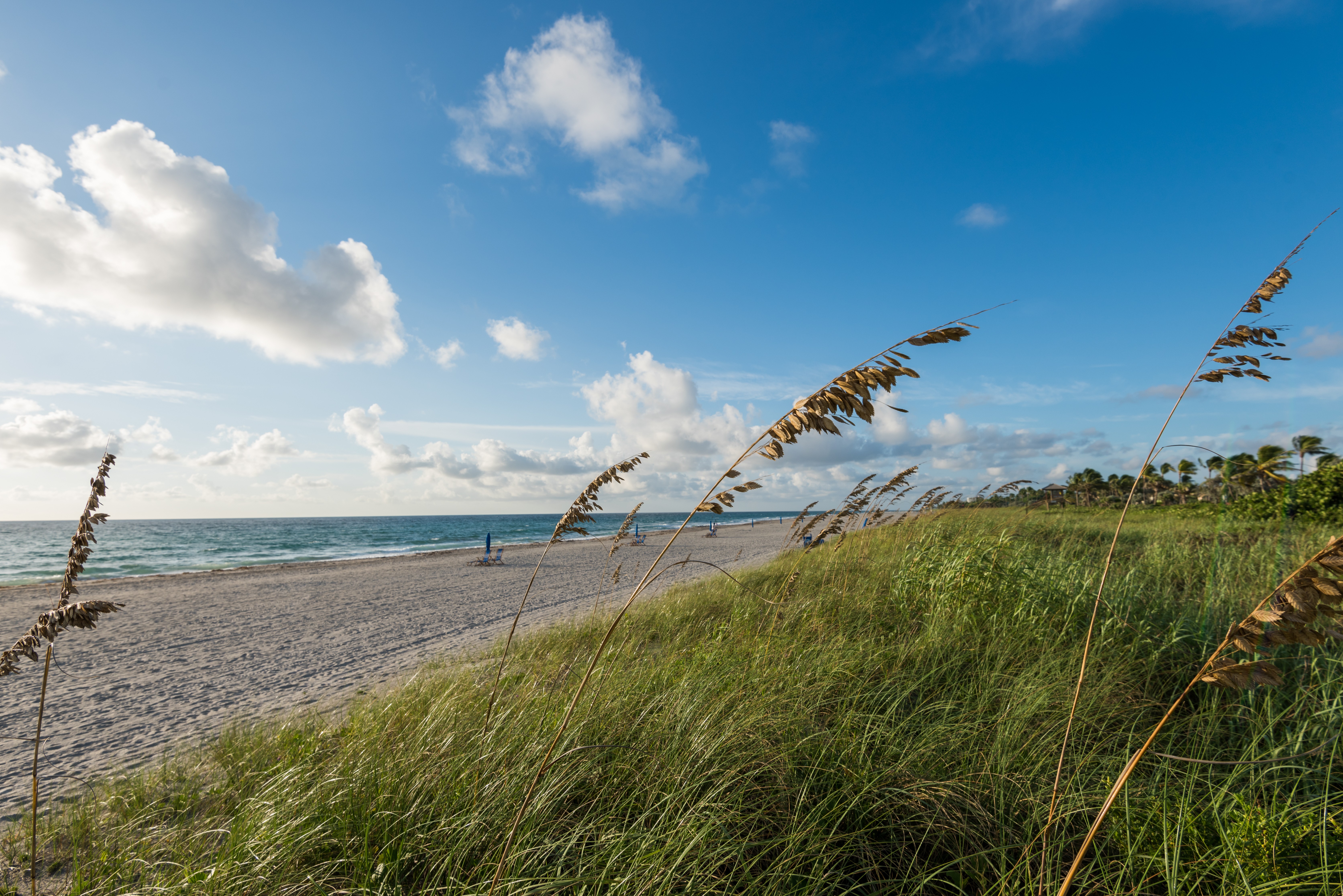 Delray Beach in Palm Beach, one of Florida's most popular beach destinations